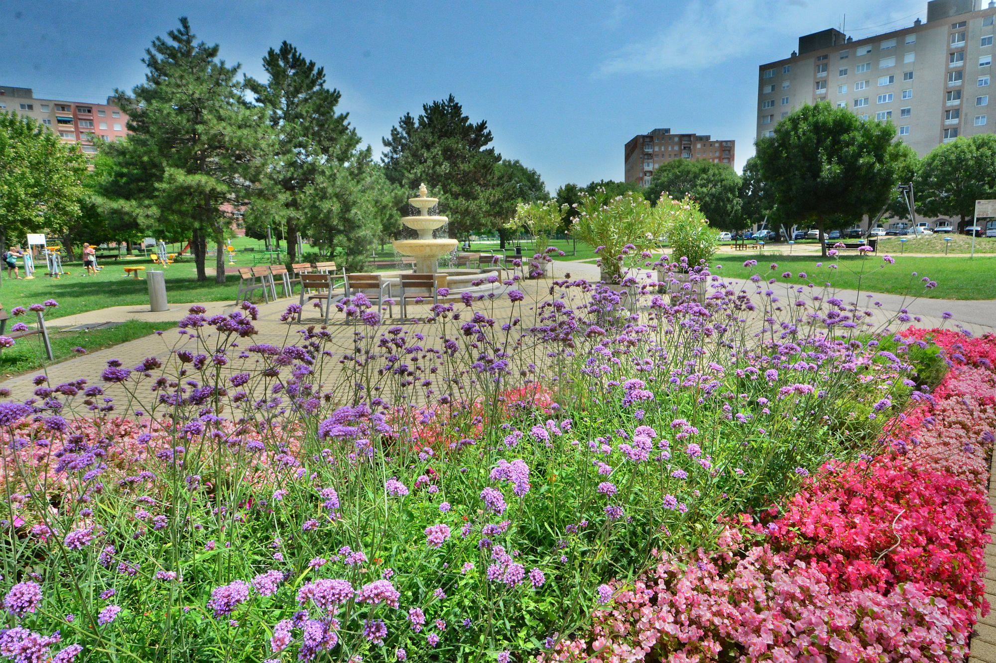 Virágba borult Székesfehérvár